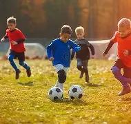 斯瓦泰克中,东之旅遇挫,费塞特教练,kaiyun·开云(中国)官网,KaiYun,SPORTS,kaiyun·开云(中国)中国官网,KaiYun体育平台,kaiyun·开云(中国)服务