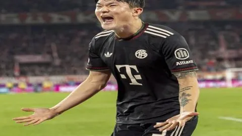 kaiyun·开云（中国）